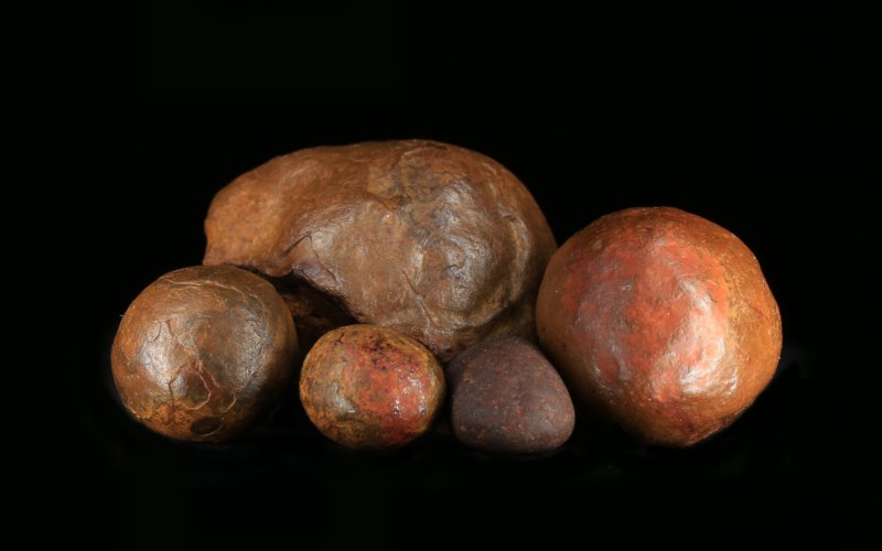 Noduli ferrosi da Séprais-Montavon nel bacino di Delsberg (larghezza immagine 5 cm, foto Roger Widmer)