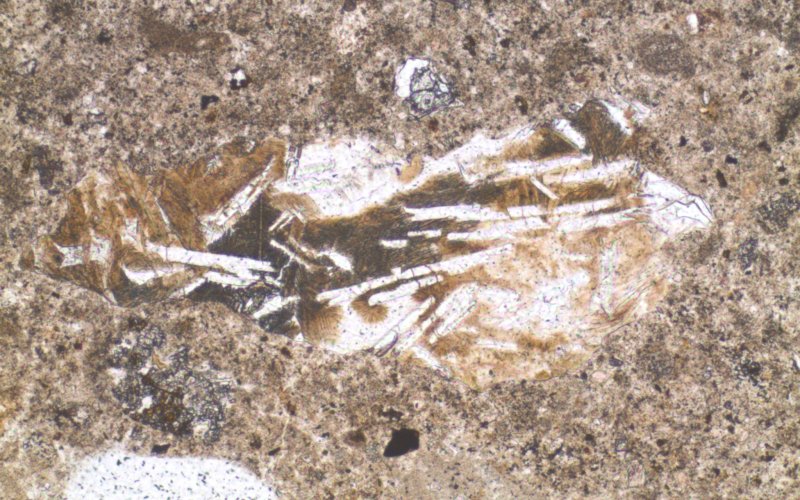 Nodulo di legante stracotto con lamelle di wollastonite incolore in malta di cemento Romano (Haus Merkur a Horw, PPL, larghezza immagine 900 µm)