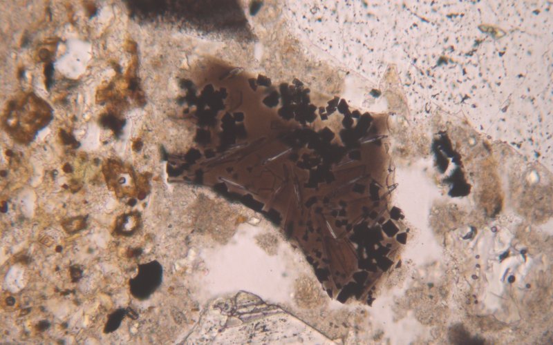 Scorie di altoforno in calce idraulica artificiale siderurgica proveniente dalla ferriera di Ludwig von Roll (Kunsthalle di Berna, PPL, larghezza immagine 400 µm)