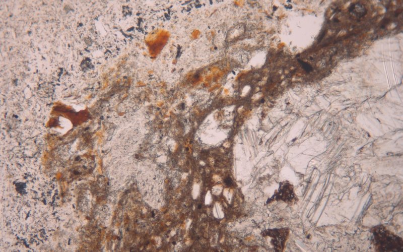 Aggregato di impurità marnose della materia prima nel gesso cotto ad alta temperatura (frammento di stucco da San Pietro di Quarazze, PPL, larghezza immagine 1 mm)