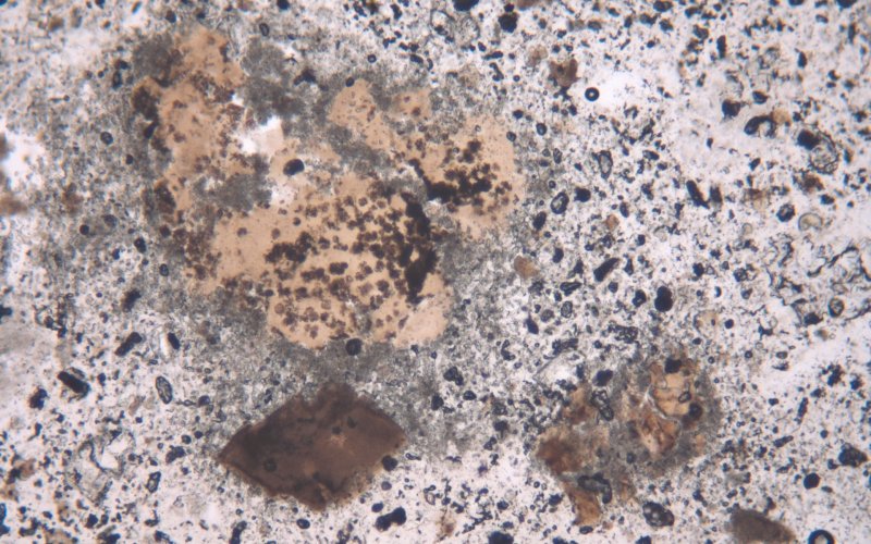 Umgesetzte dolomitische Verunreinigung des RFrammenti reagiti delle impurità dolomitiche del gesso grezzo con macchie brunastre tipiche della malta di calce magnesiaca (frammento di stucco da San Pietro di Quarazze, PPL, larghezza immagine 1 mm)